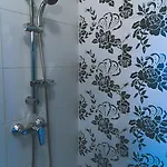 Owca Z Widokiem *