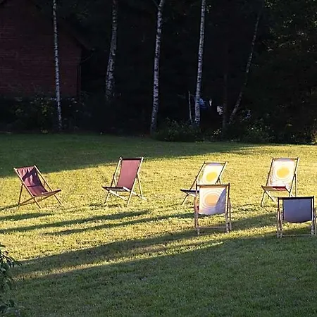 Owca Z Widokiem Spalona